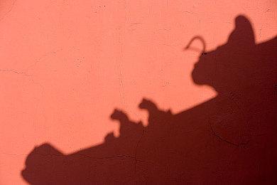 任天堂公布“桃花公主”主题游戏新作 2024年登陆NS